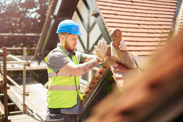 Best Roof Gutter Cleaning  in Bay City, OR