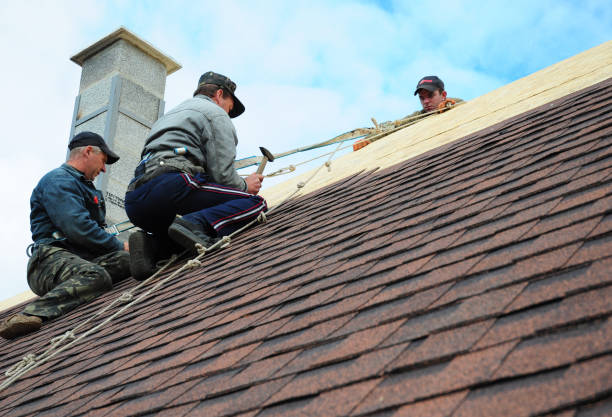 Best Roof Leak Repair  in Bay City, OR